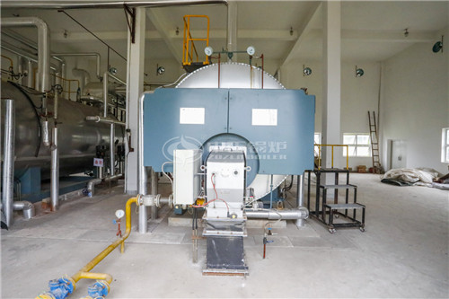 20T燃生物質(zhì)導熱油鍋爐公司