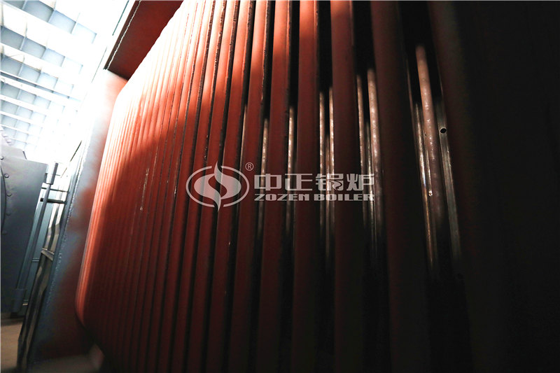 30T燃生物質(zhì)導熱油爐便宜嗎