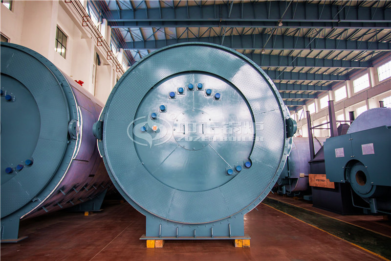 30T燃生物質(zhì)導熱油爐費用