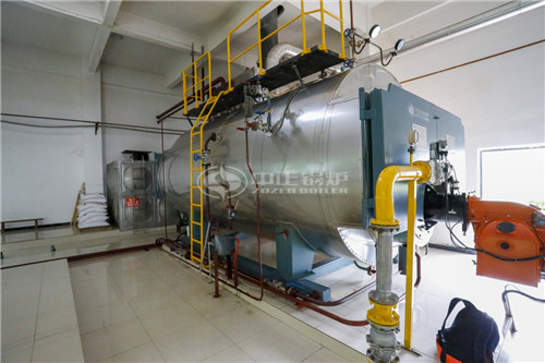 20T燃生物質(zhì)導熱油爐需要多少錢