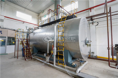 6噸燃生物質(zhì)導熱油爐生產(chǎn)廠家